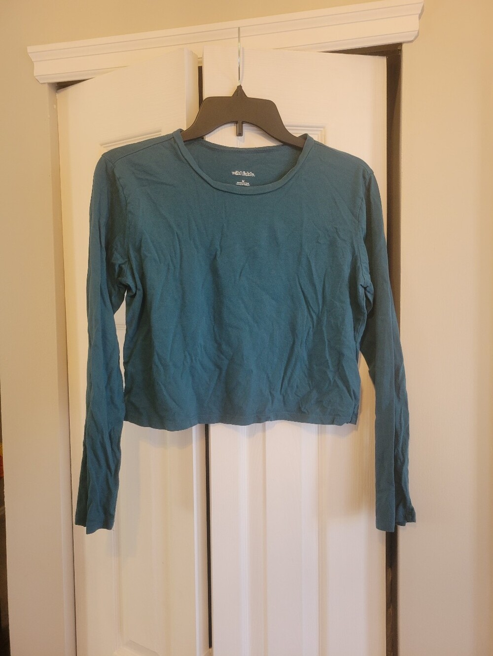 Wild Fable Teal Medium Long-Sleeve Crop Top